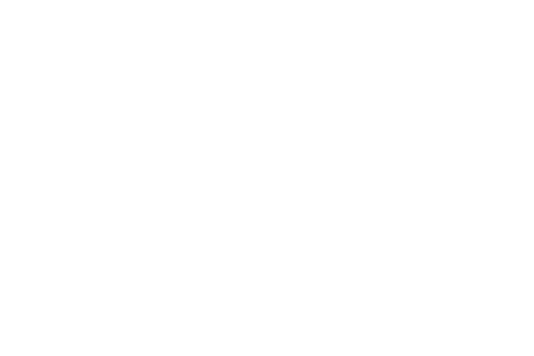 Ring - Puzzle